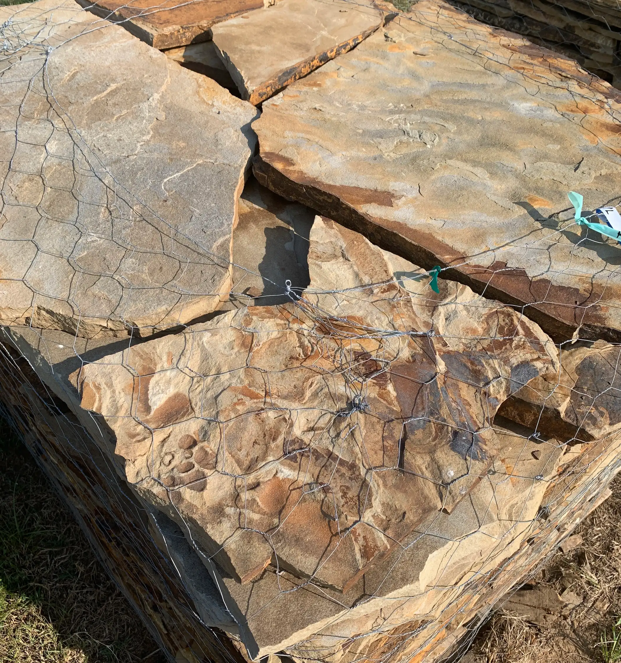 Chestnut Flagstone